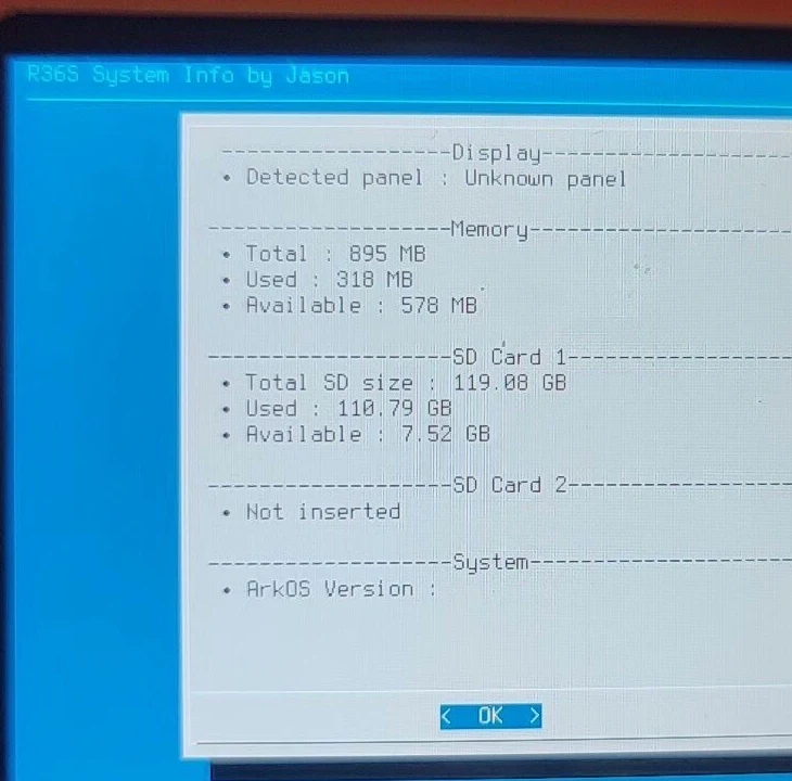 A real R36S System Info screen showing SD Card 1 at 119.88 GB and SD Card 2 not inserted