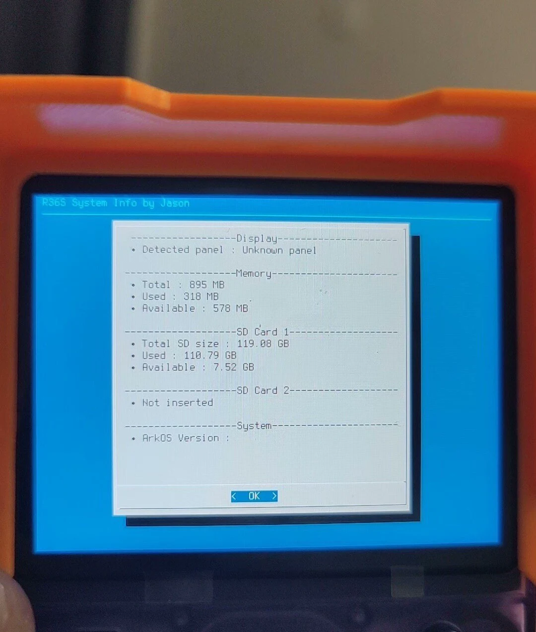 The vendor System Info screen on a real R36S showing total memory of 895 MB, used memory of 318 MB, and a 119.88 GB card with 110.79 GB used